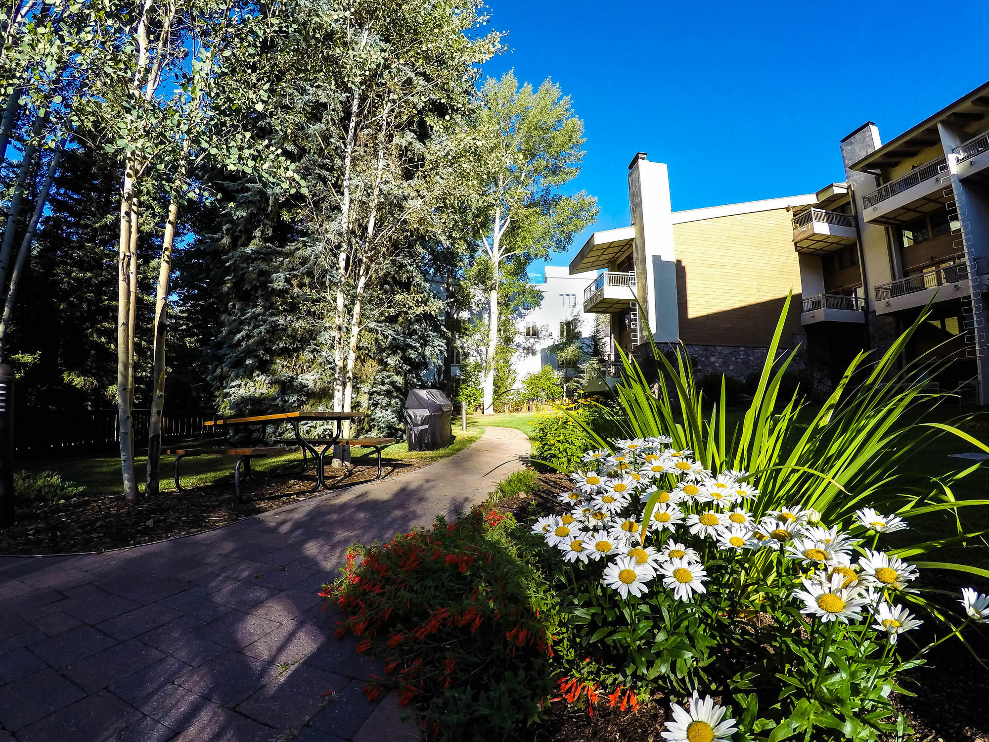 Lodge At Lionshead Vail Εξωτερικό φωτογραφία